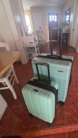 carry on/check luggage