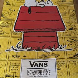 Vans&Peanuts Collab Banner