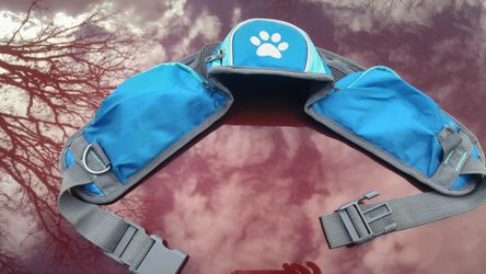 Dog walking utility belt with leash and bag holder an extra Pocket