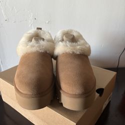 Uggs 