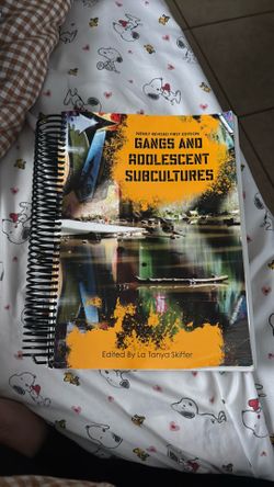 Gangs and adolescents subcultures textbook