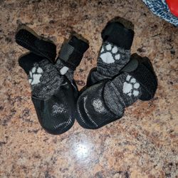 Extra Small Dog Shoes