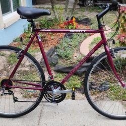 Scott San Francisco Trekking Hybrid Bike