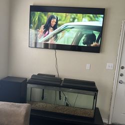65in Samsung And Fish Tank Combo 