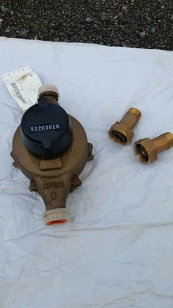 Neptune T-10 1" water meter