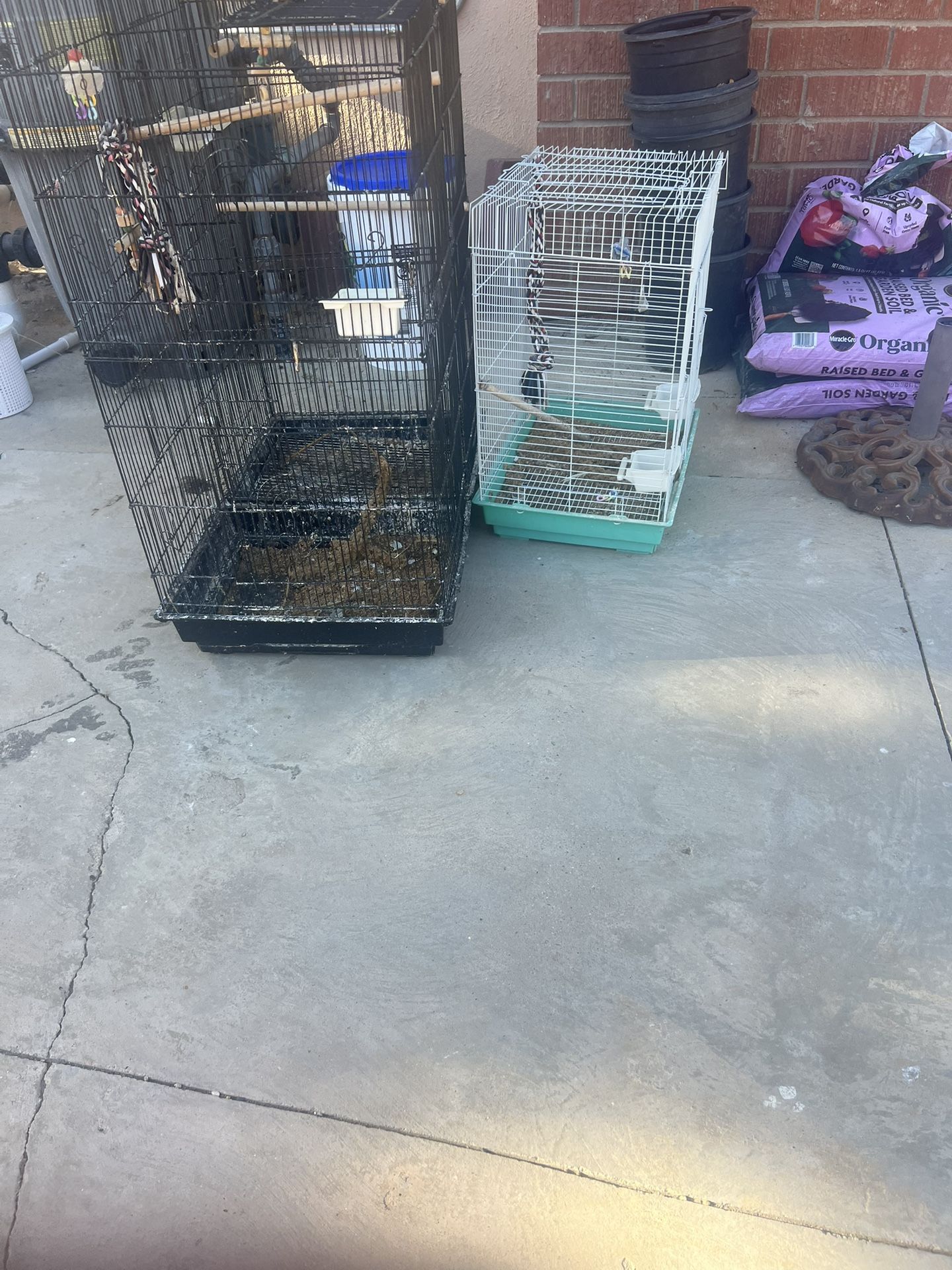 Bird’s Cage 