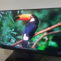 23.8inch Lenovo LED monitor 