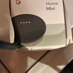 Google Home Mini