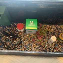 20 Gallon Fish Tank