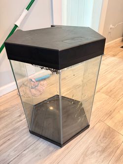 Hexagonal Glass Aquarium Tank with Lid