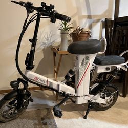 Oltheli 12” E-bike  2 Seater
