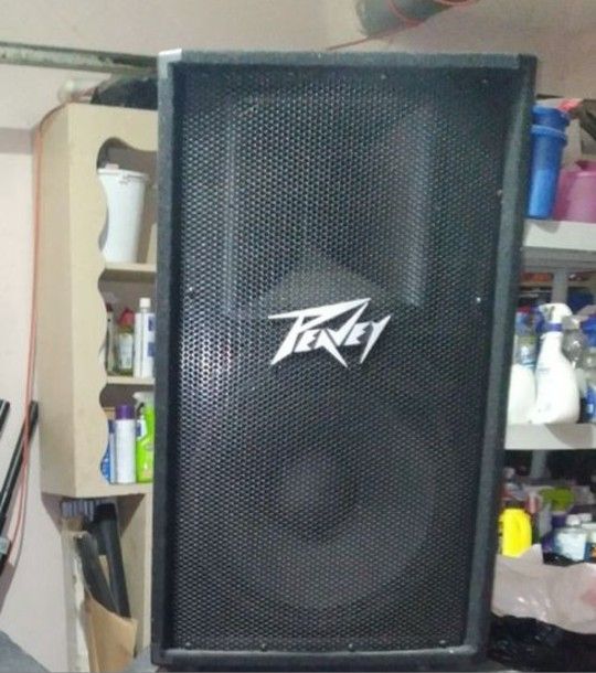 Peavey Speaker 15 Inch In Great Condition