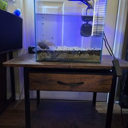 6 Gallon Glass Fish Tank with LED Light