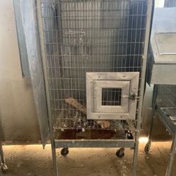 Bird Cages With Nest Boxes 