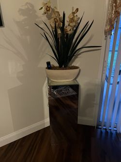 Plant Decoration And  mirror