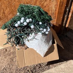 A Box Full Of Christmas Lights 