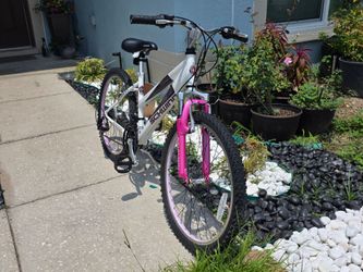 🚵 Schwinn Cascade Mountain Bike – 24" Wheels – 16" Frame – $60