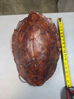 Vintage turtle shell light fixture