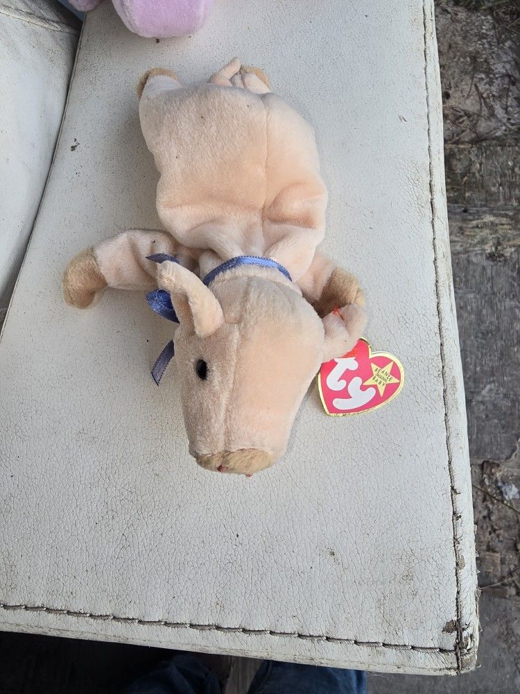 Pig Ty Baby
