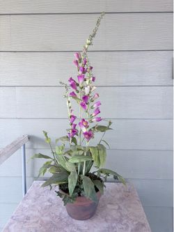 Foxglove- artificial