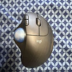 Logitech Mouse