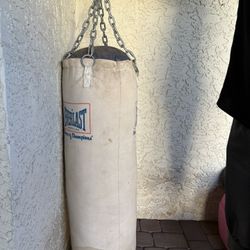 Punching Bag & Stand 