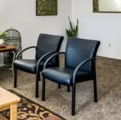 Two Cushioned Black Chairs Office Living Room