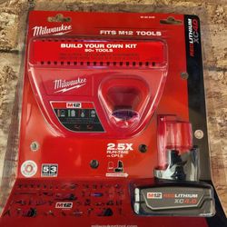 Milwaukee M12 12-Volt Lithium-Ion XC Battery Pack 4.0 Ah and Charger Starter Kit