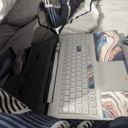 Dell Laptop 