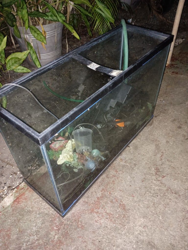 Fish Tank