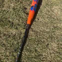 2022 Meta Bat 31inch and Cat 9 Bat