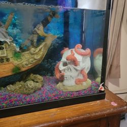 50 Gallon Fish Tank 