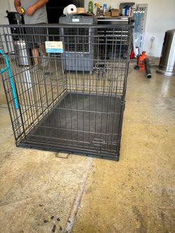 Large  dog kennel