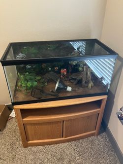 40 gallon terrarium with stand