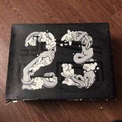 Brand New Jordan Space Jams 11s