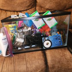10 Gallon Fish Tank Setup