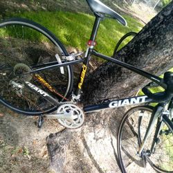 Giant Defy Bike