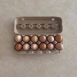 Fresh Eggs