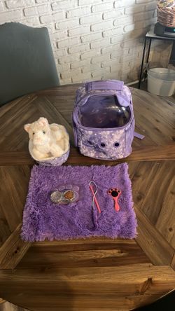 Play cat with backpack and accessories