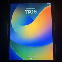 iPad 9th Gen 256GB