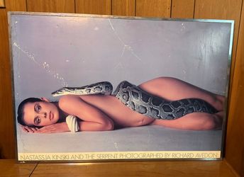 Natassja Kinski And The Serpent By Richard Avedon Framed Picture