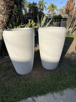 XL Concrete Pots-Tall Cement Planters ($250 each)