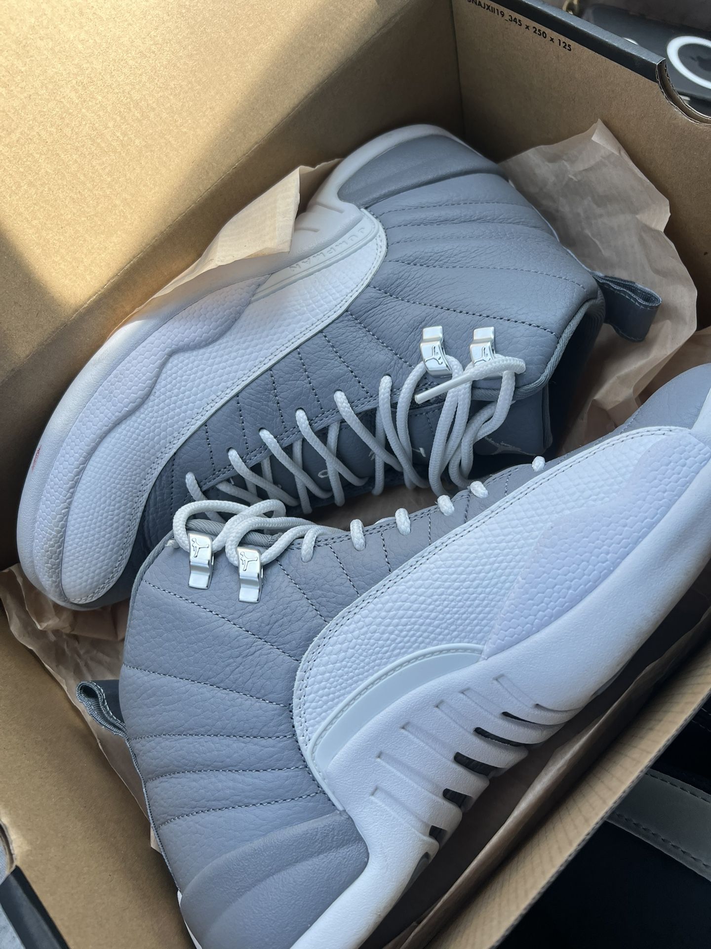 Jordan 12’s