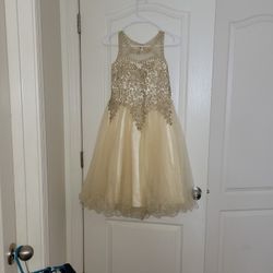 Beige With Gold Dress 