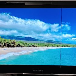 Samsung 24" Monitor