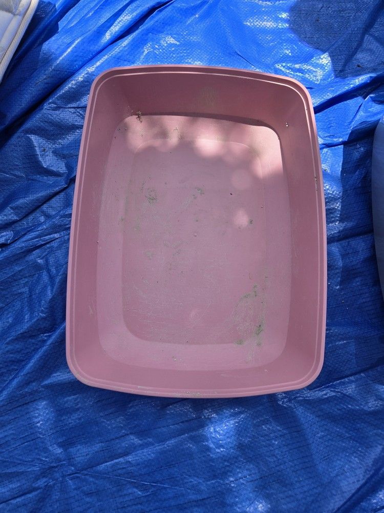 Cat Litter Box
