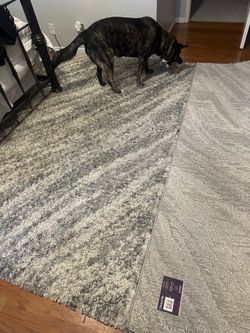7 x 10 thomasville area rug