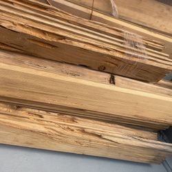 Cedar 
