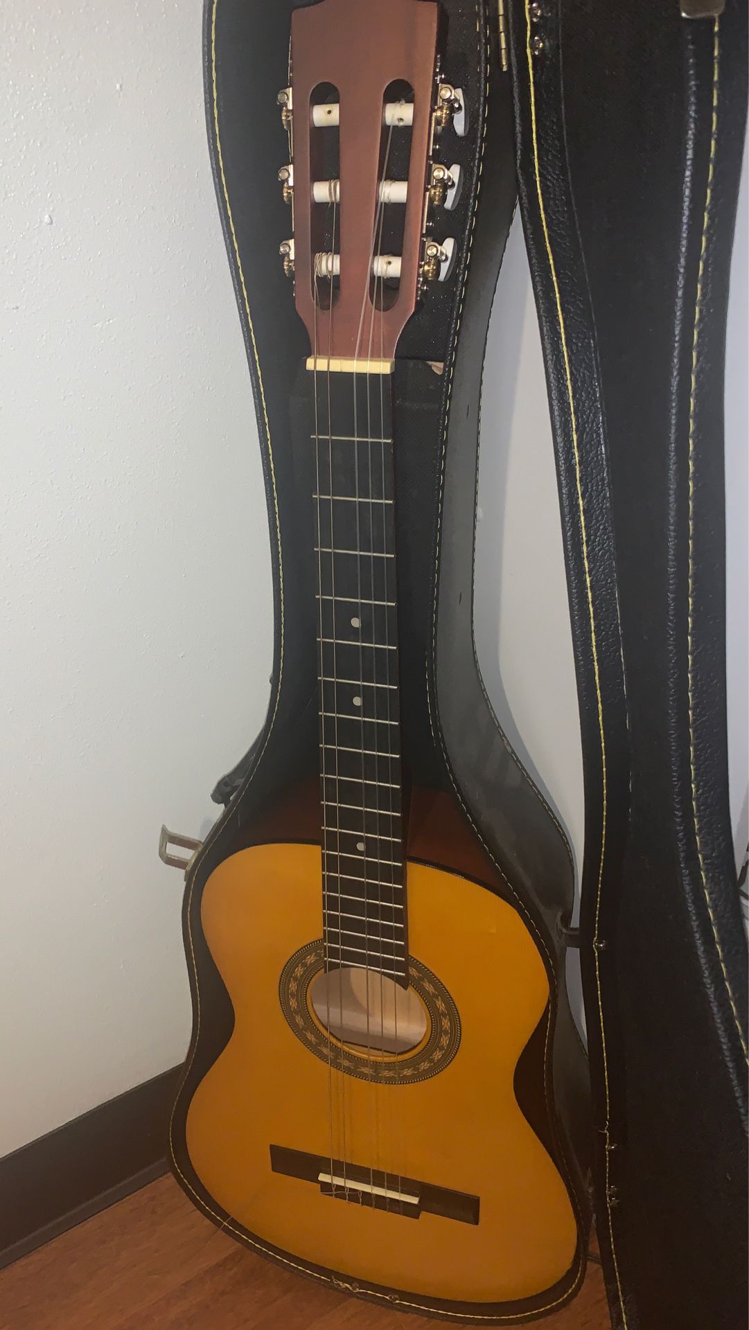 Guitar and case with handle.