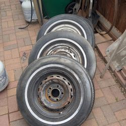 Raleigh Wheels 15-in